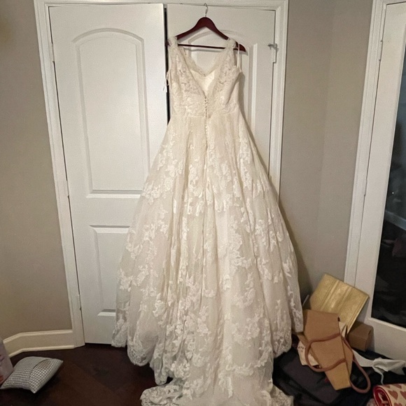 Pronovias Wedding Gown - Picture 4 of 5